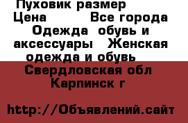 Пуховик размер 42-44 › Цена ­ 750 - Все города Одежда, обувь и аксессуары » Женская одежда и обувь   . Свердловская обл.,Карпинск г.